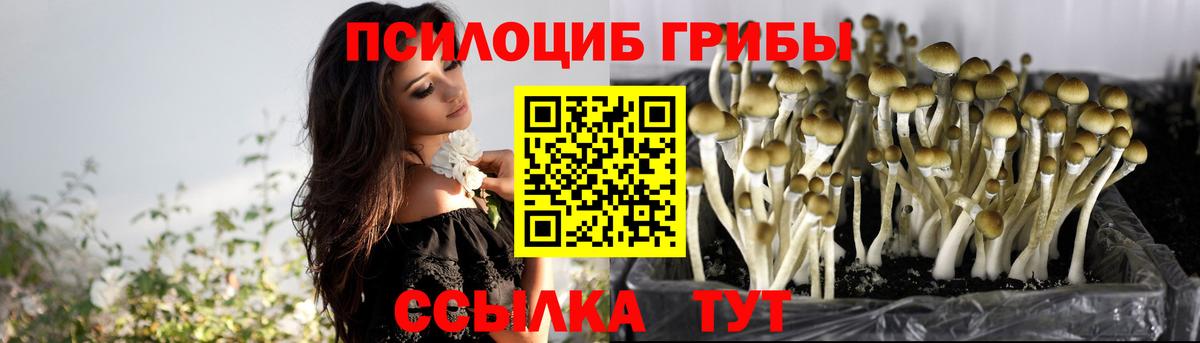 Лесозаводск  Псилоцибиновые грибы MAGIC MUSHROOMS  Вход с VPN 